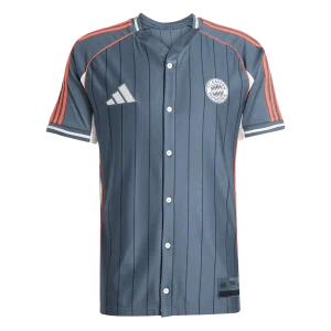 Bayern Munich Tröja 2025/26 Grå